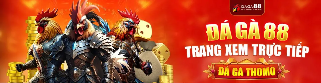 Sự tiến hóa của trang bị đá gà từ truyền thống đến hiện đại