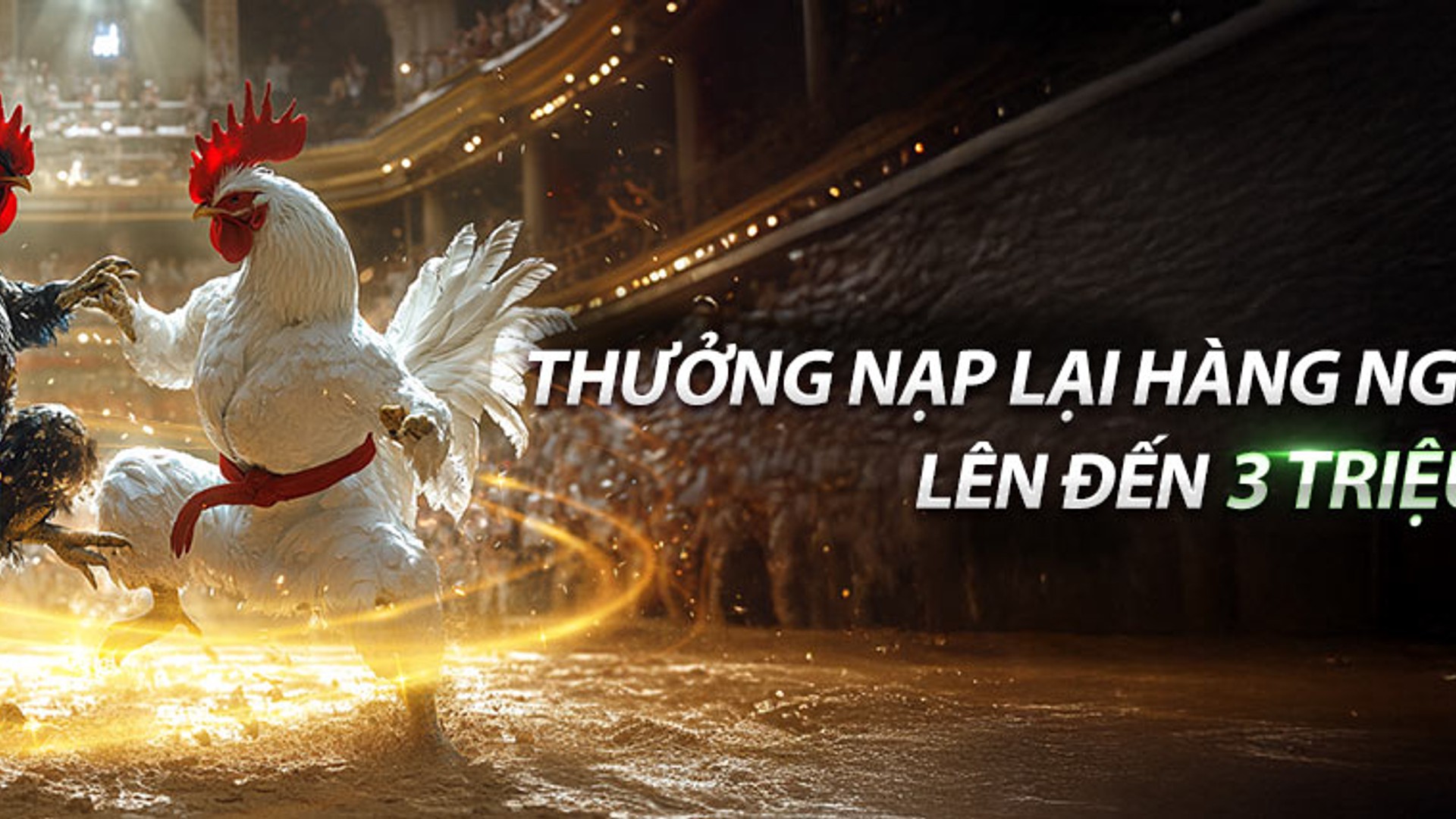 Hình ảnh một trận đấu đá gà kịch tính tại Gà 88