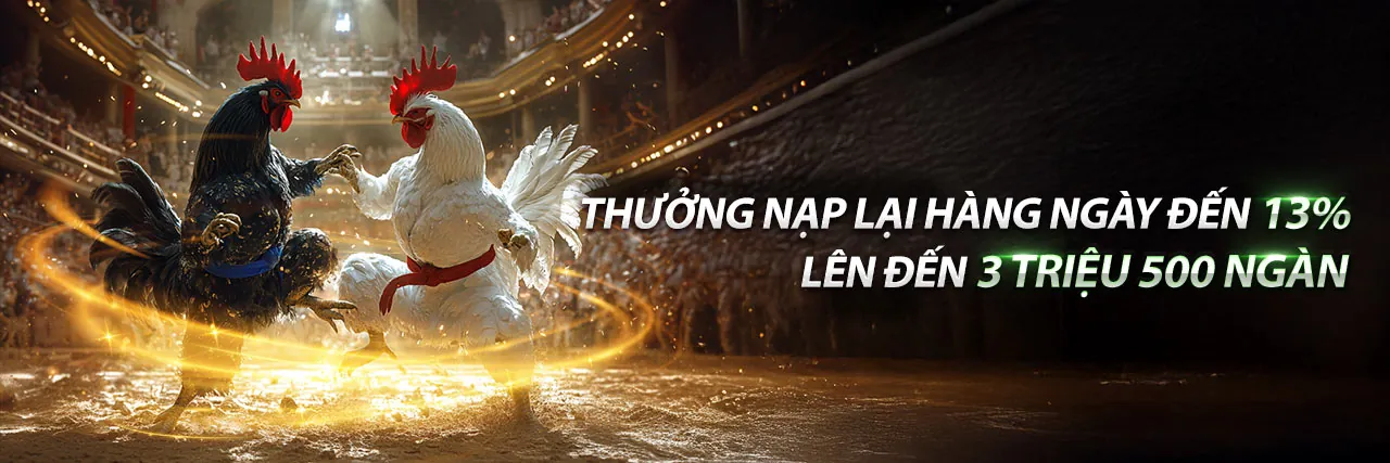 Sân đấu đá gà sôi động
