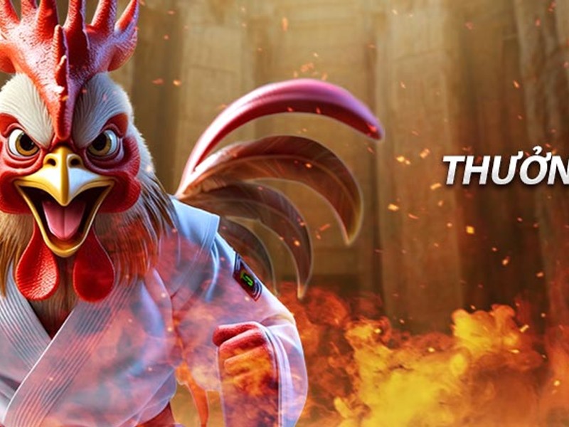 Tỷ lệ cược đá gà trên nền tảng daga88