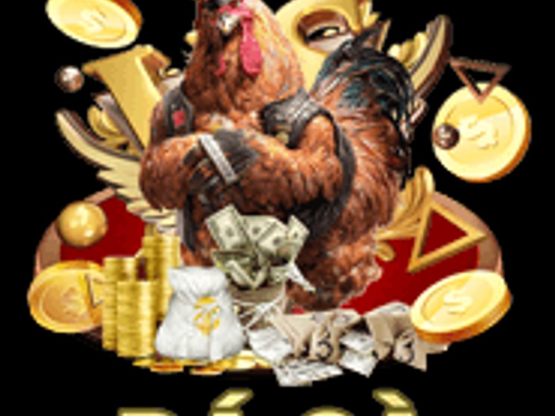 Hình ảnh minh họa cảnh đá gà trong lịch sử châu Á, thể hiện lịch sử đá gà 88