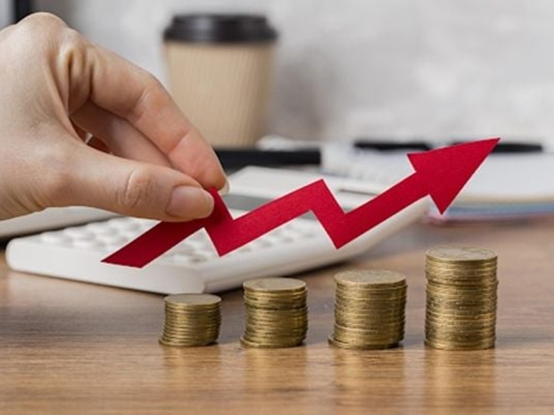 Một trận đấu Sabong truyền thống ở Philippines, thể hiện sự cuồng nhiệt của người hâm mộ.