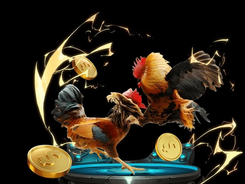 Hình ảnh mô phỏng một trận đá gà cổ xưa, thể hiện các nghi lễ và sự chuẩn bị kỹ lưỡng trước trận đấu, phản ánh văn hóa truyền thống.