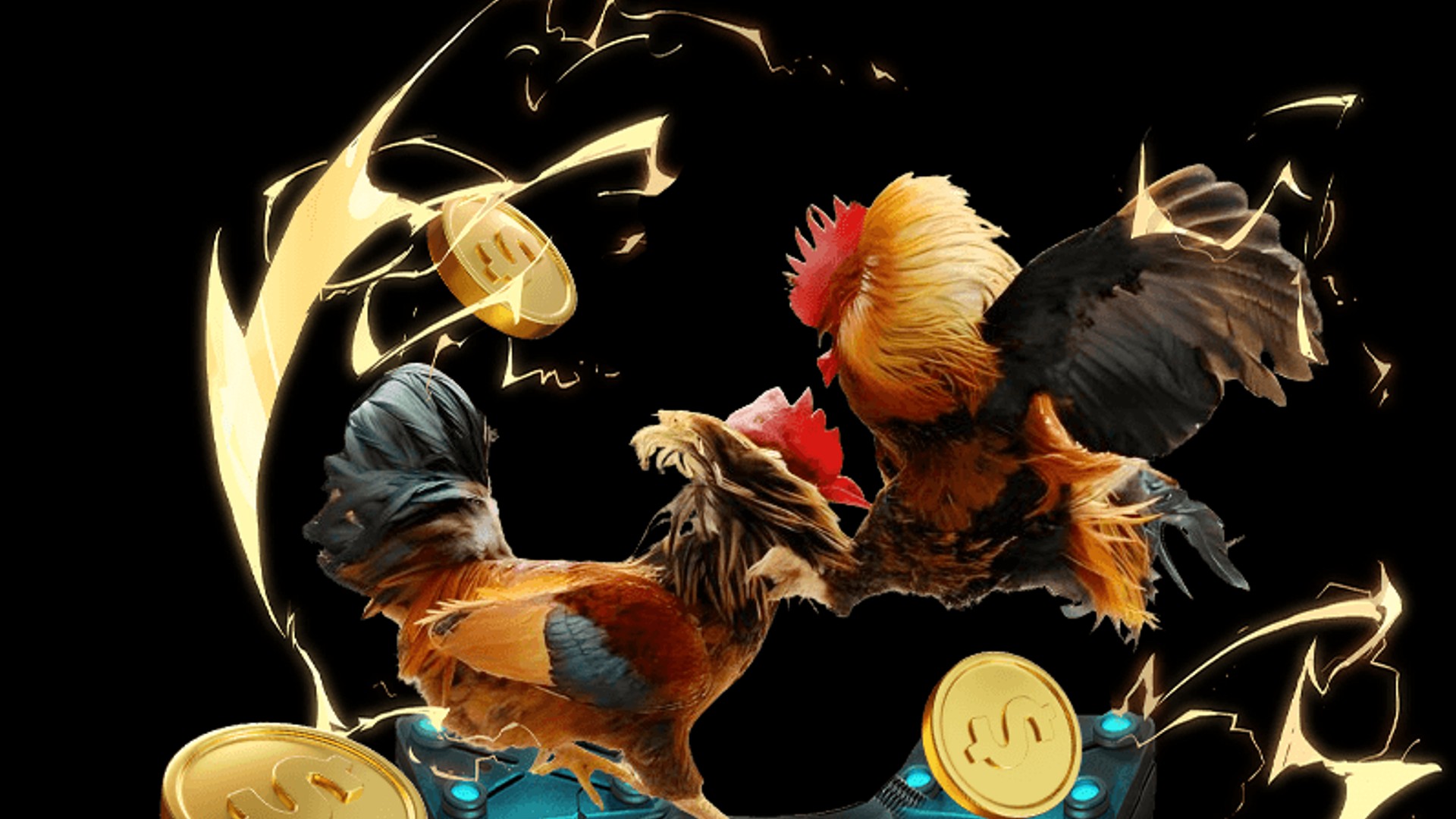 Gà 88 chiến đấu trong một trận đá gà kịch tính